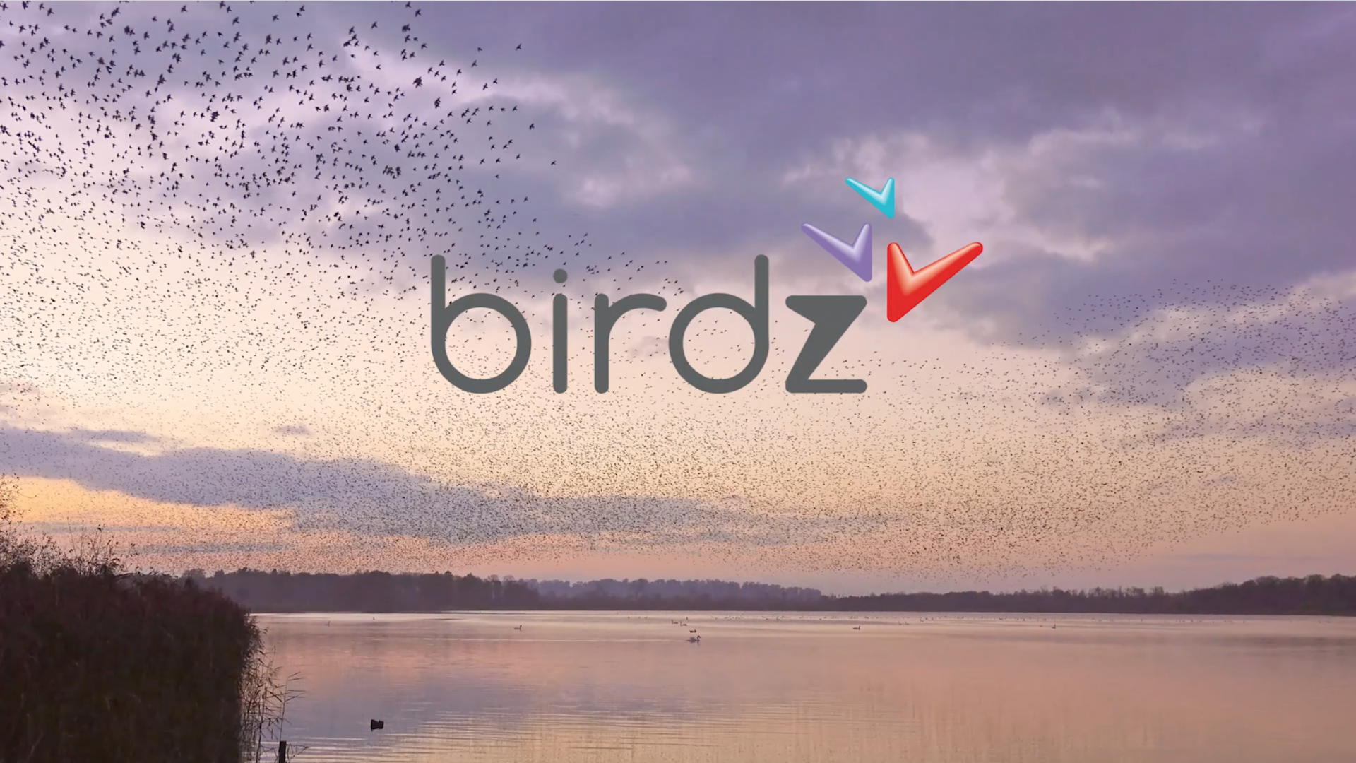 Birdz